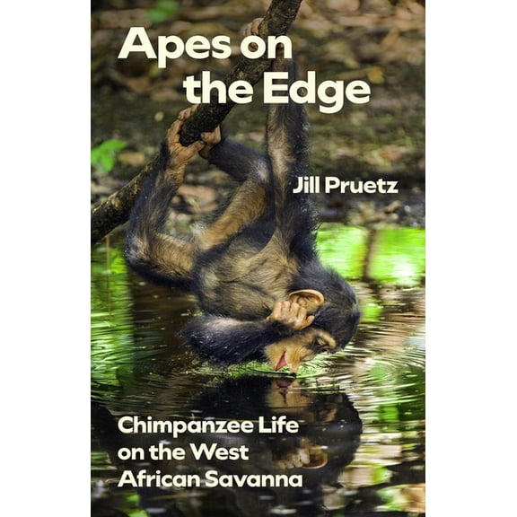Animal Lives Apes on the Edge: Chimpanzee Life on the West African Savanna, (Paperback)