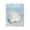 Coastal Scallop Clam Seascape, variant on Stupell Industries Coastal Detailed Oyster on Blue Canvas Art, 16 x 20, by Arlington Prints