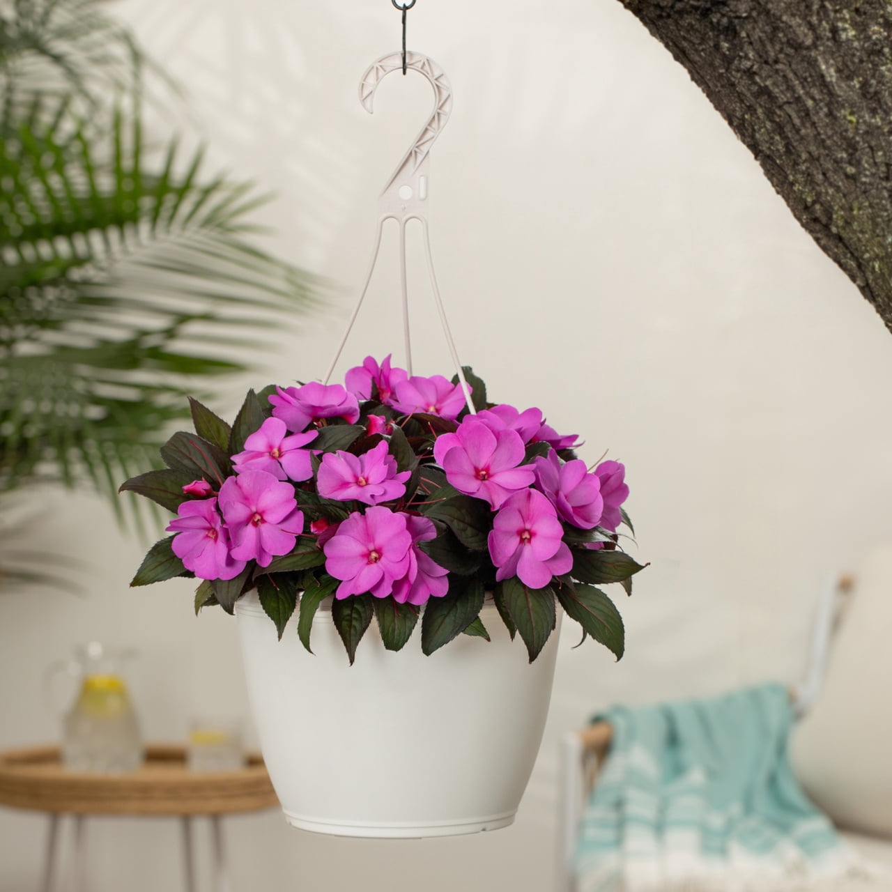Expert Gardener 1.5 Gal Pink New Guinea Impatiens Live Annual Plant in Decorative Pot, Filtered Sun