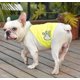 thumbnail image 1 of Chaleco reflectante para perros, chaleco reflectante para perros de alta visibilidad, chaleco de seguridad ajustable para perros, protege a tu cachorro, 1 of 5