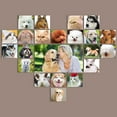 thumbnail image 4 of Dog Grooming Kit USB Rechargeable Cordless Dog Clipper Set Pet Hair Trimmer Kit, 4 of 10