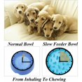 thumbnail image 3 of Comedero para perros Cuenco para mascotas de alimentación lenta Cuenco ecológico Duradero No tóxico Cuenco para prevenir la asfixia Diseño saludable para perros y mascotas de 20 cm (azul), 3 of 5
