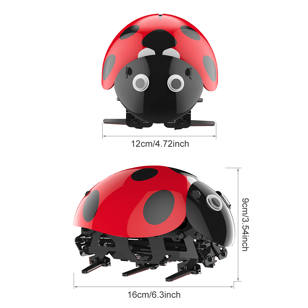 ladybug rc car