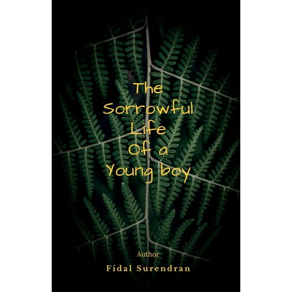 The Sorrowful Life Of A Young Boy, (Paperback)