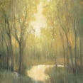 thumbnail image 3 of OToole, Tim 12x12 Black Modern Framed Museum Art Print Titled - Forest Sanctuary II, 3 of 5