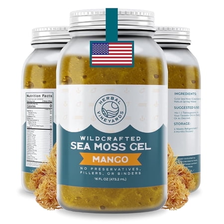 Herbal Vineyards Wildcrafted Irish Mango Sea Moss Gel 16 Oz - Organic Seamoss Gel Made with Dried Seaweed & Fresh Sea Vegetables, Natural & Plant-Based, Harvested in Pristine Waters, USA