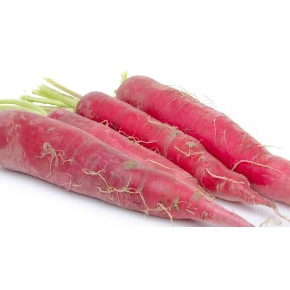 Radish Red Arrow Sprouting Microgreen Heirloom Vegetable By Seed Kingdom BULK 12,000 Seeds