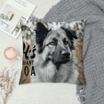 thumbnail image 2 of PHYHOO Dog Themed It's Not Dog Hair It's Anatolian Shepherd Glitter Funny Anatolian Shepherd Silhouette Decorative Throw Pillow Case for Home Living Room Room Decor, White, 2 of 5