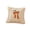 Beige, variant on XHKUYI Fall Pumpkin Pillow Covers 18x18 inch, Pumpkin Embroidered Throw Pillow Covers with Bow, Fuzzy Cushion Covers for Halloween Farmhouse Couch Sofa Bed Decor