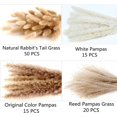 thumbnail image 2 of 100 Pcs Pampas Grass for Boho Home Room Decor, 17" Neutral Dried Pompas Flowers for Western Modern Bedroom Table Bathroom Wedding Baby Shower Décor, 2 of 7