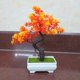 thumbnail image 2 of Planta de simulación, planta en maceta de simulación, pequeño bonsái, flor falsa de plástico, adornos de flores de simulación para sala de estar de escritorio, 2 of 5