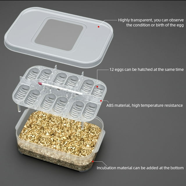 Incubador reptil de huevo BANDEJA DE HUEVO CAJA DE HUEVO DE REPTILES DE REPTILES DE REPTILES DE REPTILES DE REPTILES ADECUADO PARA ECLOSIONES DE LAGAROS DE SERPIENTES