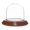 Walnut Veneer Base, variant on Plymor 2.5" x 2.5" Small Glass Display Dome Cloche (Walnut Veneer Base)