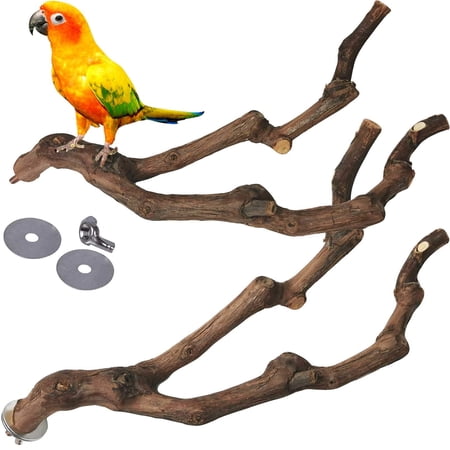 ZywShop Natural Parrot Perch Bird Stand Pole Wild Grape Stick Paw Grinding Fork Parakeet Climbing Standing Branches Toy Chewable Cage Accessories for Small Budgies Cockatiels Lovebirds 2PCS