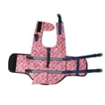 thumbnail image 1 of Dog Life Jacket, Heavy Duty D Ring Hook Pet Swimming Vest Bright Colors Comfortable Pearl Cotton Small Fish Pattern  For Pool S,M,L, 1 of 8