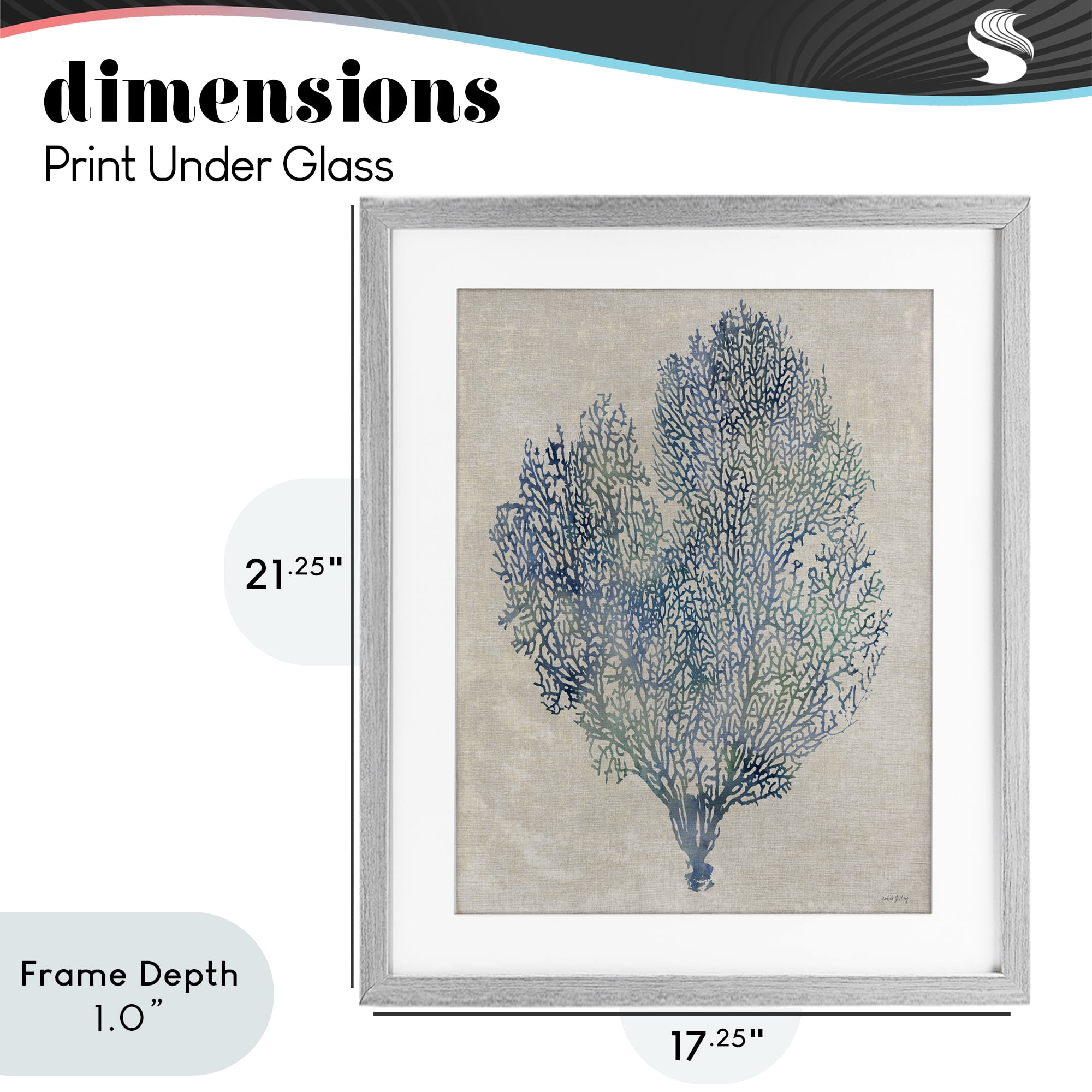 Stupell Industries Fan Coral in Blue & Green Gray Framed Print Under Glass, design by Amber Sterling