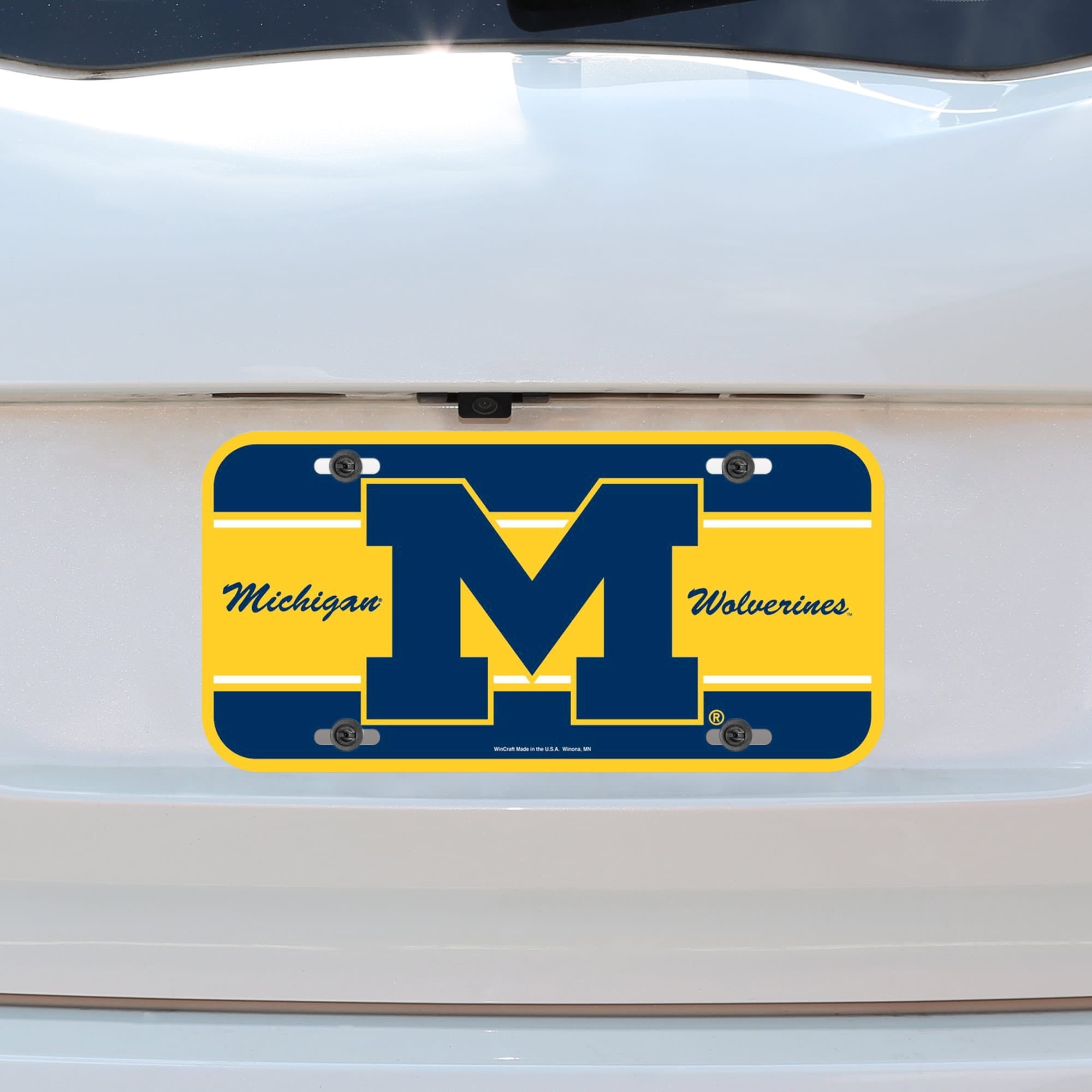 Inlaid FANMATS NCAA University of Michigan Wolverines Plastic License Plate 