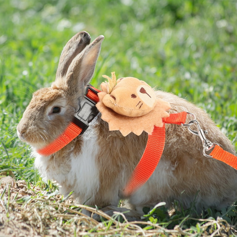 Bunny leash walmart hot sale
