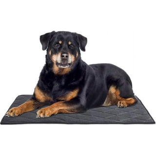 Kennel pad for dogs that chew outlet