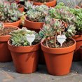 thumbnail image 4 of GOOHOCHY 50Ud Marcadores De Plantas De Metal Plateado Para Etiquetar Y Semilleros, 4 of 8