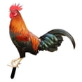 thumbnail image 3 of Adorno de estatua de animal de gallo de plástico, estacas de jardín, estaca de patio con forma de gallo de pie, decoración de gallina para patio, cami Color B, 3 of 8