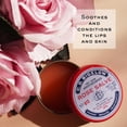 thumbnail image 4 of Juego de Bálsamos Labiales C. O. Bigelow Rosa Multiusos para Aliviar Irritación y Acondicionar Piel, 4 of 8