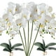 thumbnail image 1 of Flores artificiales de Phalaenopsis Hin-Oco con hojas, 5 unidades, blancas, 1 of 7