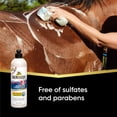 thumbnail image 3 of Absorbine ShowSheen Champú y Acondicionador 2 en 1 591 ml, 3 of 5