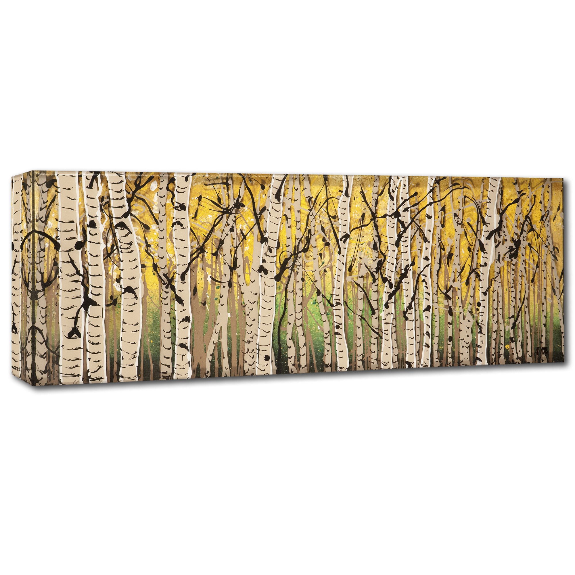 Trademark Fine Art "PanorAspens Fall Begins" Canvas Art by Roderick Stevens