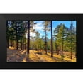 thumbnail image 2 of Tenoever, William 24x16 Black Modern Framed Museum Art Print Titled - Greer in Fall 6, 2 of 5