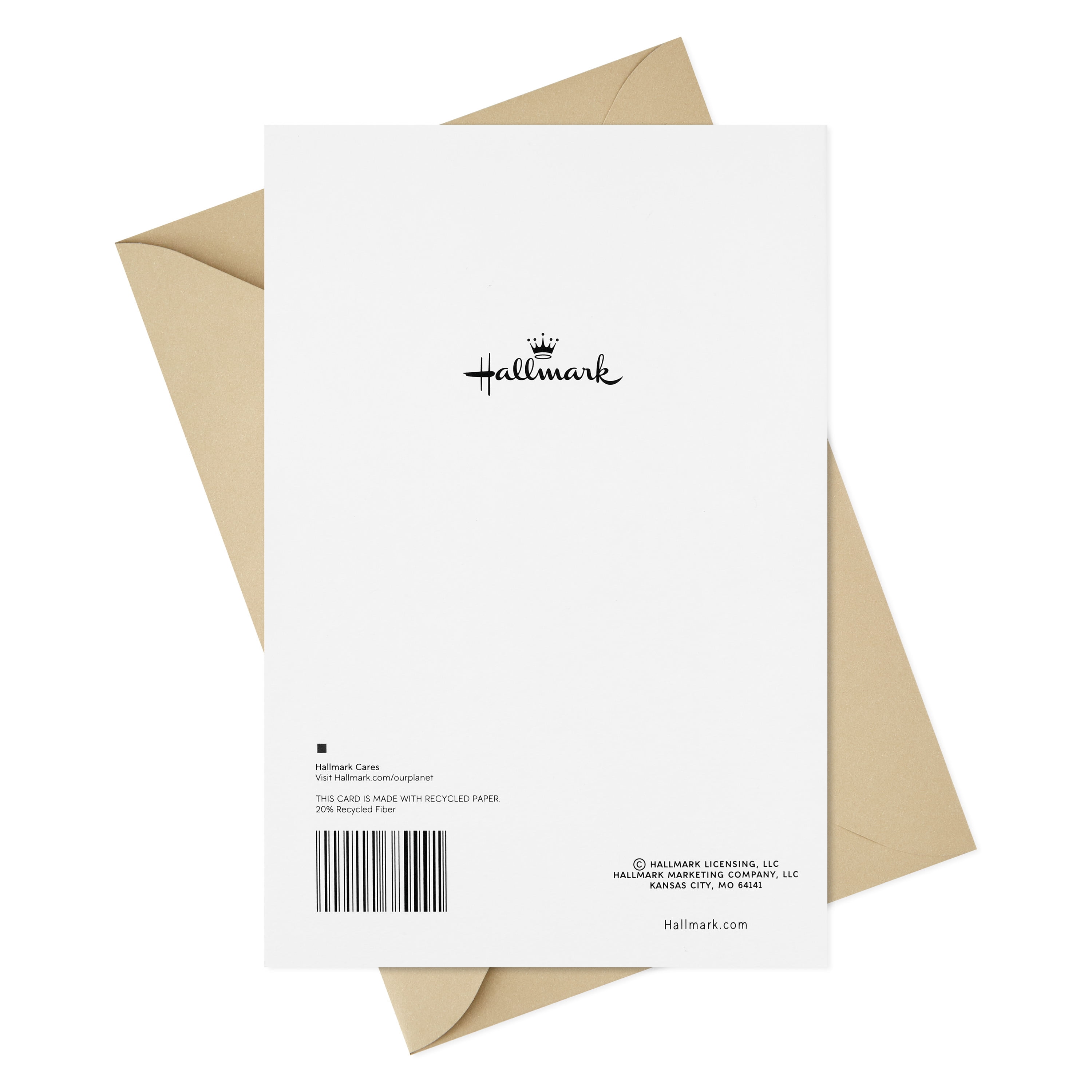 Hallmark Sympathy Greeting Card (Some Things Never End)