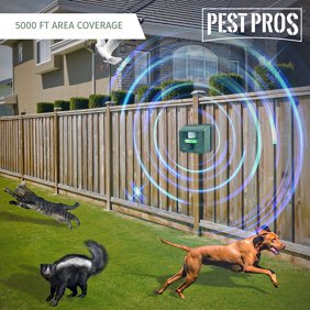 Does Electronic Pest Control Hurt Dogs Pest Control Diagram