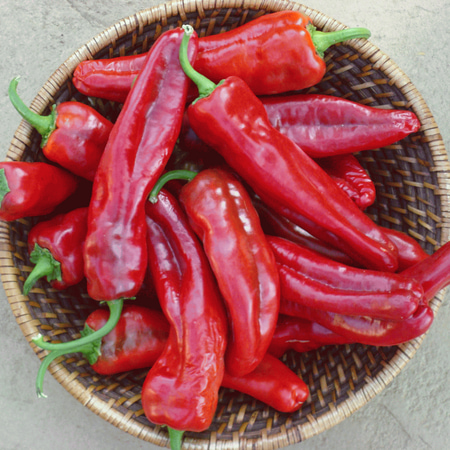Everwilde Farms - 25 Small Red Chili Hot Pepper Seeds - Gold Vault Jumbo Bulk Seed