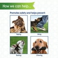 thumbnail image 5 of Four Paws Quick Fit Adjustable Dog Muzzle, Black, Size 1 (100203675), 5 of 8