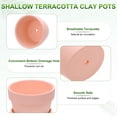 thumbnail image 2 of Uxcell 6-Pack Macetas de Terracota Poco Profundas, Macetas Pequeñas de Cerámica de 4.3" con Plato y Agujeros de Drenaje [Rosa], 2 of 7