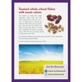 thumbnail image 3 of UNCLE SAM CEREAL, RAISIN BRAN CEREAL, 13 OZ., 3 of 6