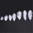 thumbnail image 3 of 10 Pcs/Lot Natural White Ostrich Feathers For Crafts 15-75CM, 3 of 7