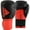 BLACK/RED, variant on Adidas Boxing and Kickboxing Gloves - Hybrid 100 - for Men and Women - for Punching, Fitness and Heavy Bags - Black/Gold, 16oz