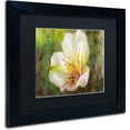 thumbnail image 2 of Trademark Fine Art "Lily of the Incas" Canvas Art by Lois Bryan Black Matte, Black Frame, 2 of 4