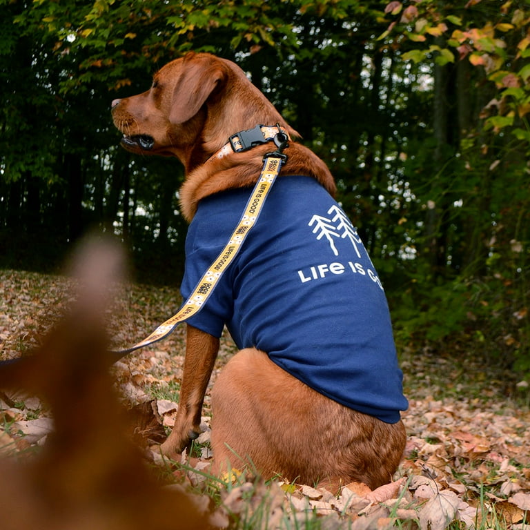 Large dog t clearance shirts