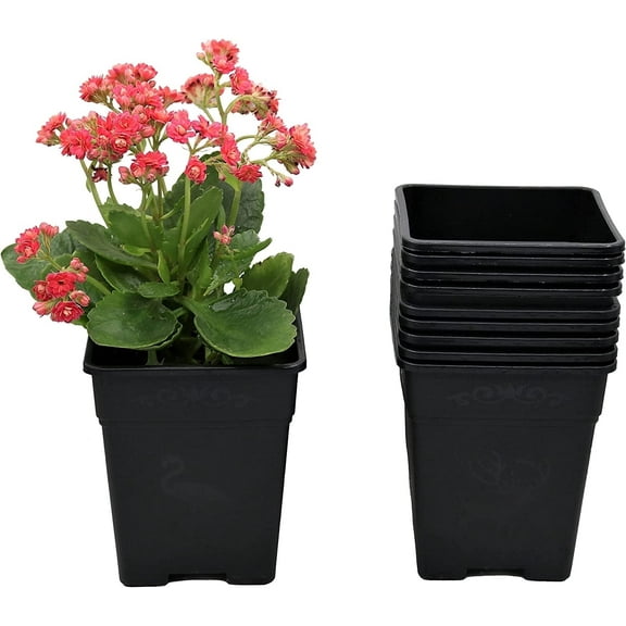 Cotta Planters 5 inch Square Nursery Pots 0.5 Gallon 10-Pack Plastic Planters Greenhouse supplies