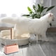 thumbnail image 5 of Juego de palas de metal para arena de gatos, herramientas para gatos, palas grandes con mango de madera, pala de metal para arena de gatos., 5 of 6