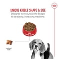 thumbnail image 3 of Royal Canin Nourriture Sèche pour Chiens Adultes - Nutrition Santé pour Races Beagle, 6 lb, 3 of 4