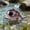 4, variant on Zeiwohndc Big Eyes Fishing Lure Artificial Hard Baits With Noise Making Steel Balls