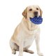 thumbnail image 2 of Pelota de goma para perros, juguetes chirriantes para mascotas, pelota de rugby para perros, pelotas de látex chirriantes para perros, juguetes para el entrenamiento dental, 2 of 4