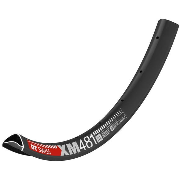 DT SWISS : XM 481 RIM : : 29/30MM