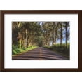 thumbnail image 2 of Tree Tunnel to Old Koloa Town, Kauai Hawaii, Scenic Framed Art Print Wall Art by Vincent James Sold by Art.Com, 2 of 6