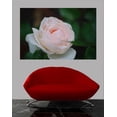 thumbnail image 2 of Clark Rose Glossy Poster, 2 of 2