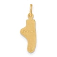 thumbnail image 3 of Finest Gold 14K Yellow Gold Ballet Slipper Charm, 3 of 3