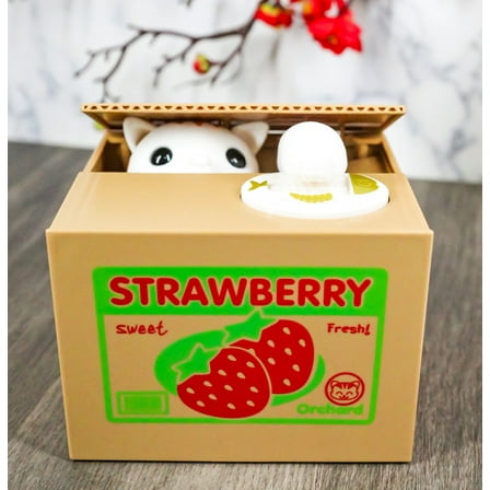 Whimsical Strawberry Feline Kitty Cat Coin Grabber Money Bank Box Sculpture